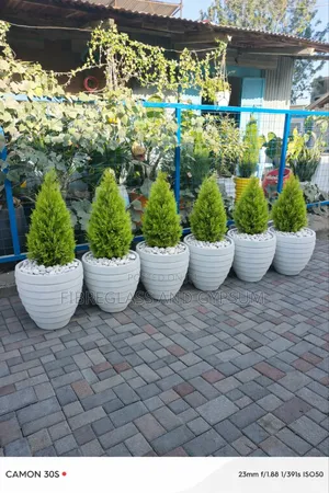 Fibreglass Pots ( Exara)