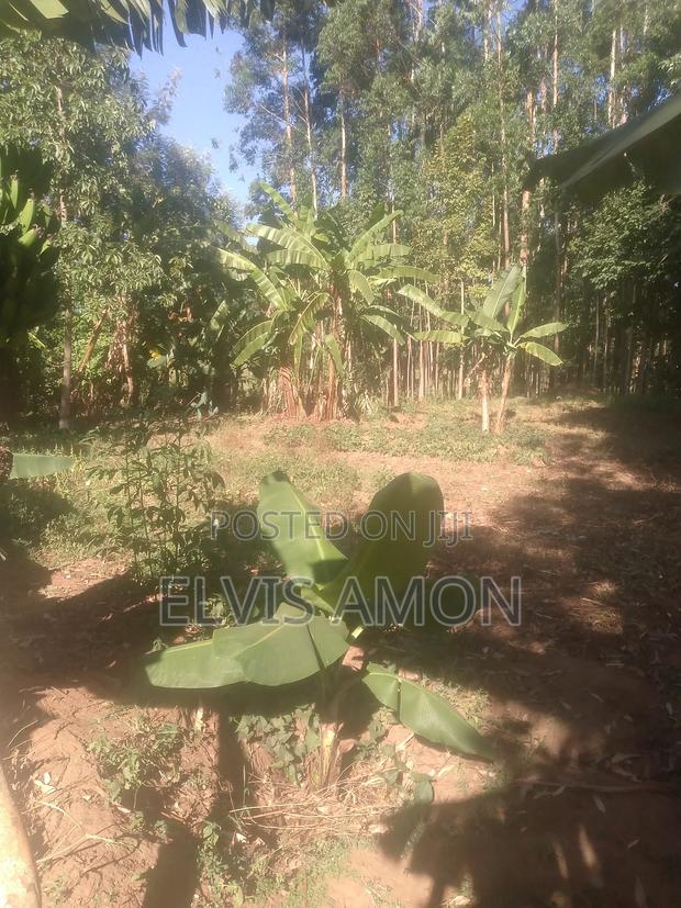 Land Go for Sale - main view