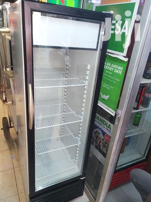 Fridge Display - main view