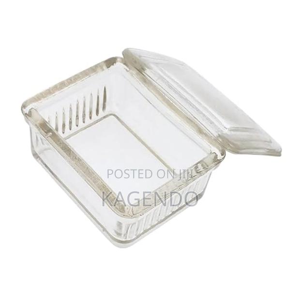 Glass Staining Jar - main view