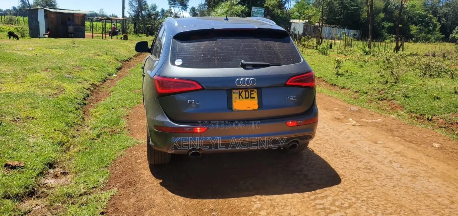 Audi Q5 2014 Teal
