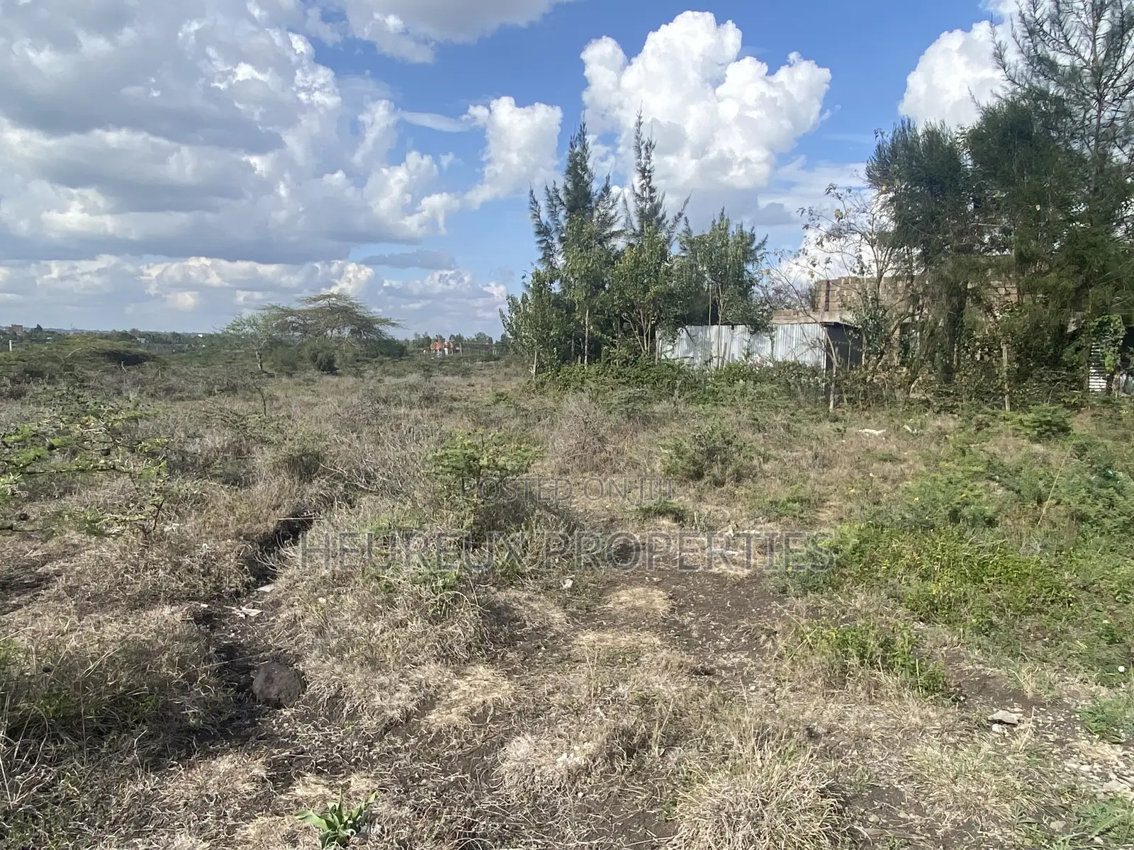 50x100 Rangau-Rongai