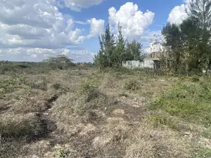 50x100 Rangau-Rongai