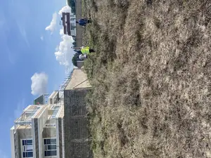 50x100 Rangau-Rongai