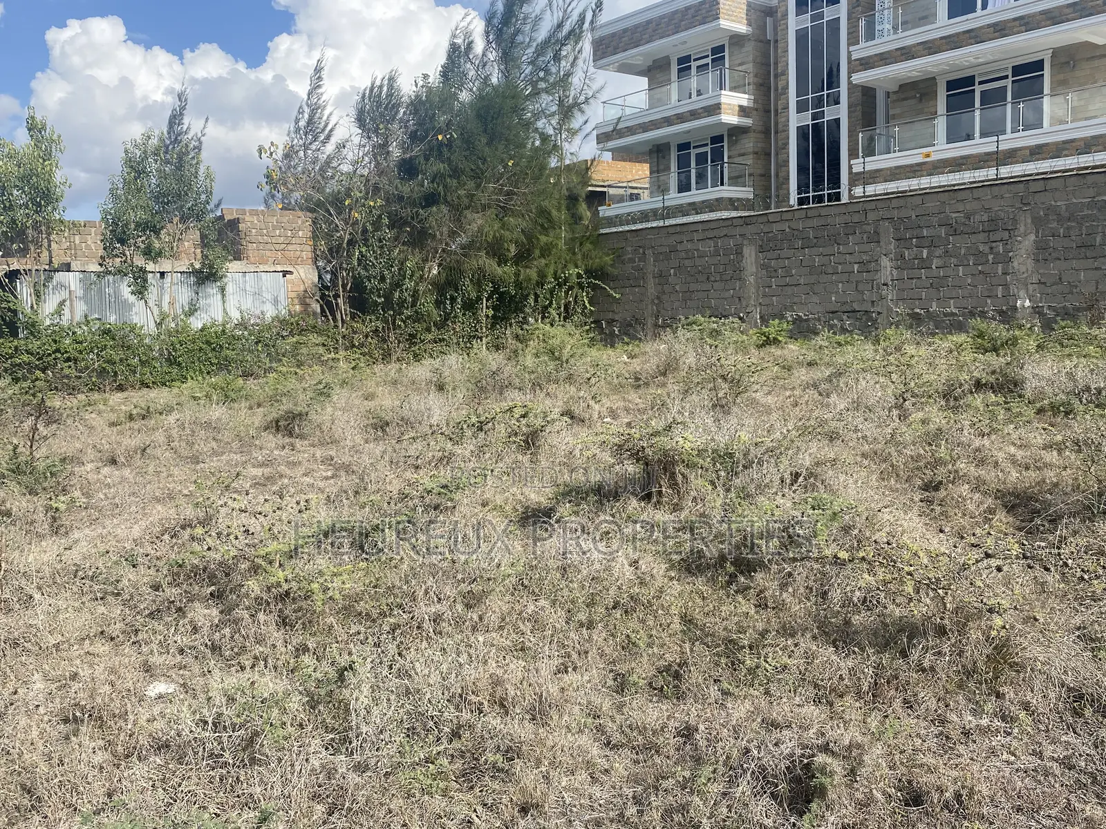 50x100 Rangau-Rongai