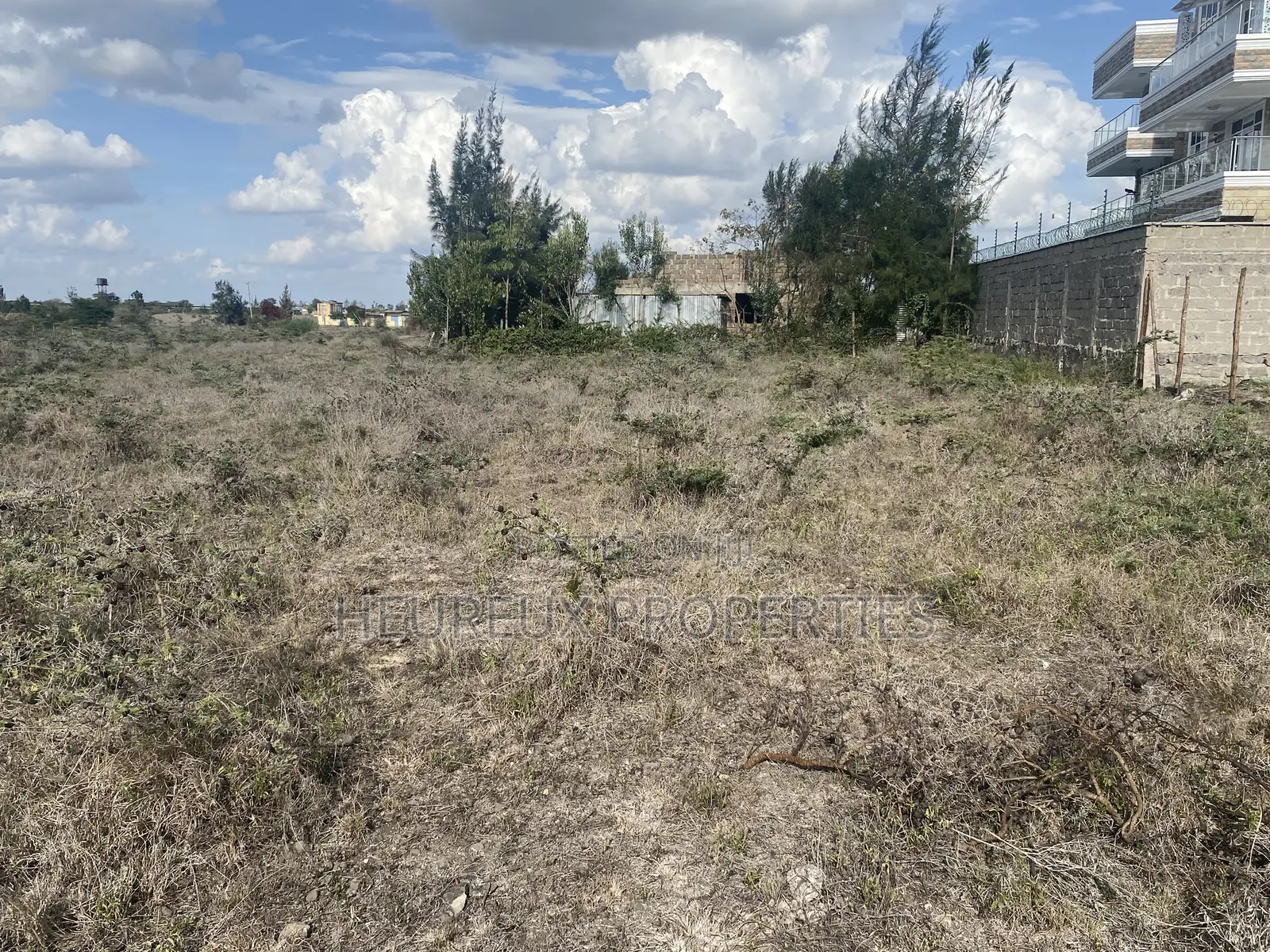 50x100 Rangau-Rongai