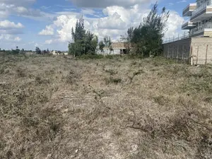 50x100 Rangau-Rongai