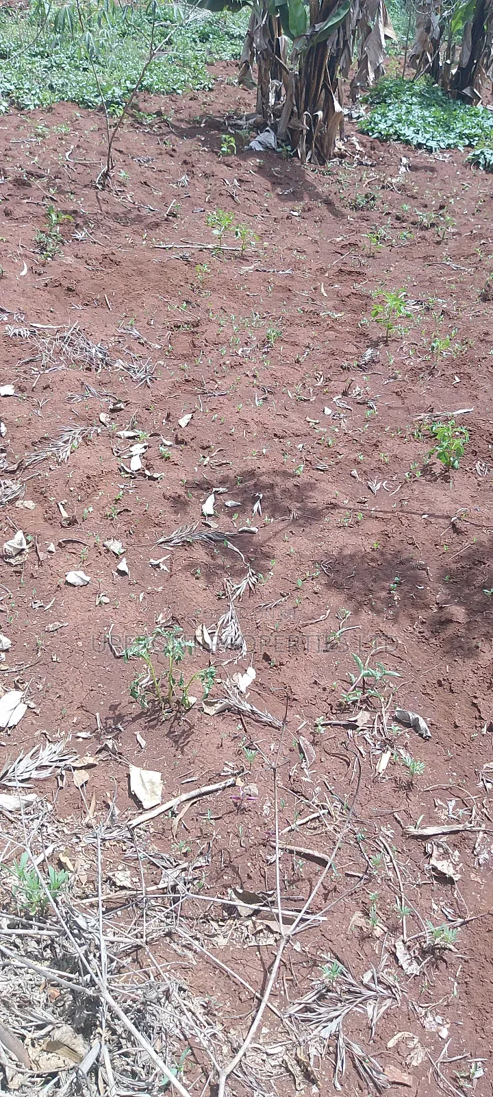 Prime Quarter-Acre Plot for Sale – Red Soil | Ngong Hills View