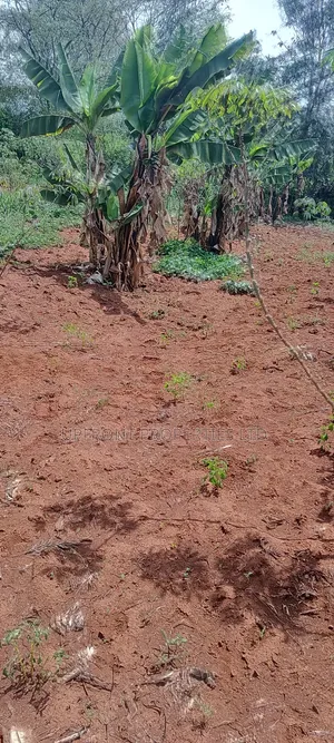 Prime Quarter-Acre Plot for Sale – Red Soil | Ngong Hills View