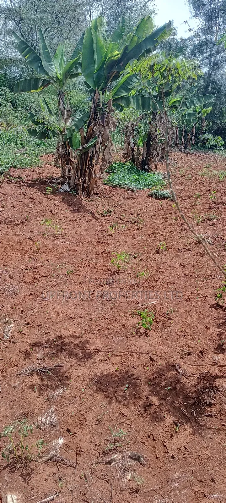Prime Quarter-Acre Plot for Sale – Red Soil | Ngong Hills View