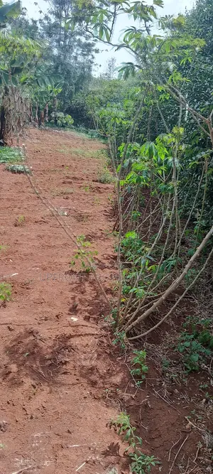 Prime Quarter-Acre Plot for Sale – Red Soil | Ngong Hills View