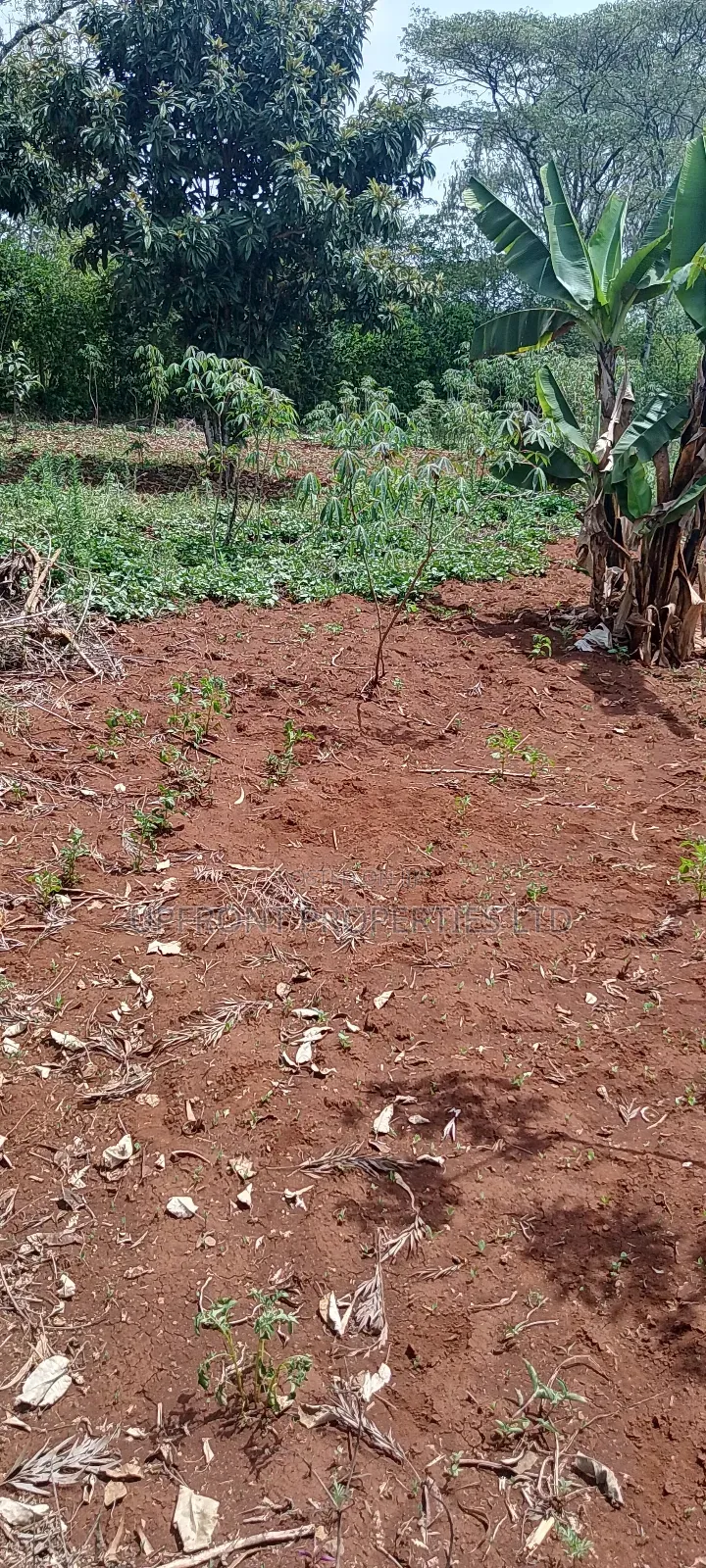 Prime Quarter-Acre Plot for Sale – Red Soil | Ngong Hills View