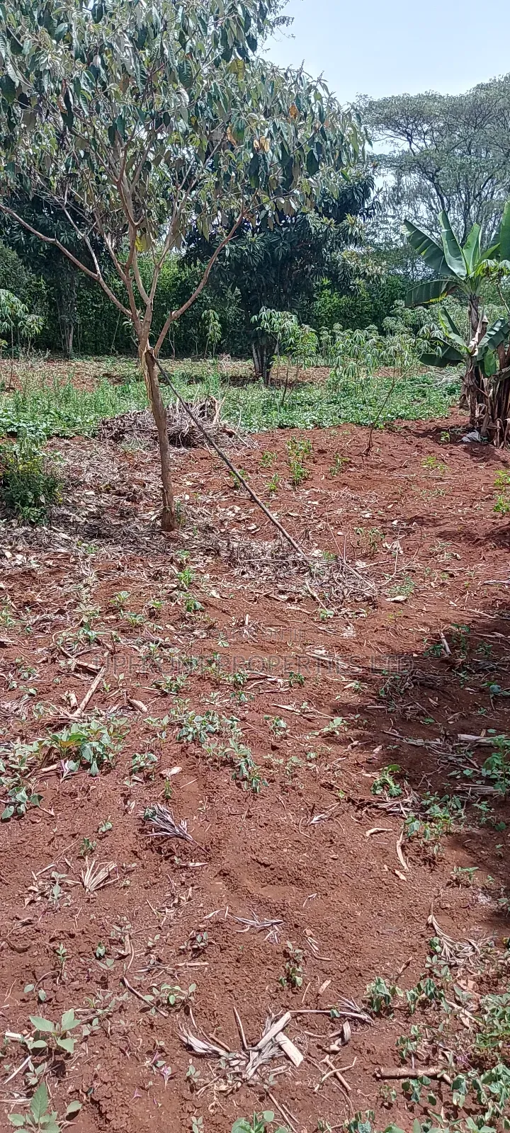 Prime Quarter-Acre Plot for Sale – Red Soil | Ngong Hills View