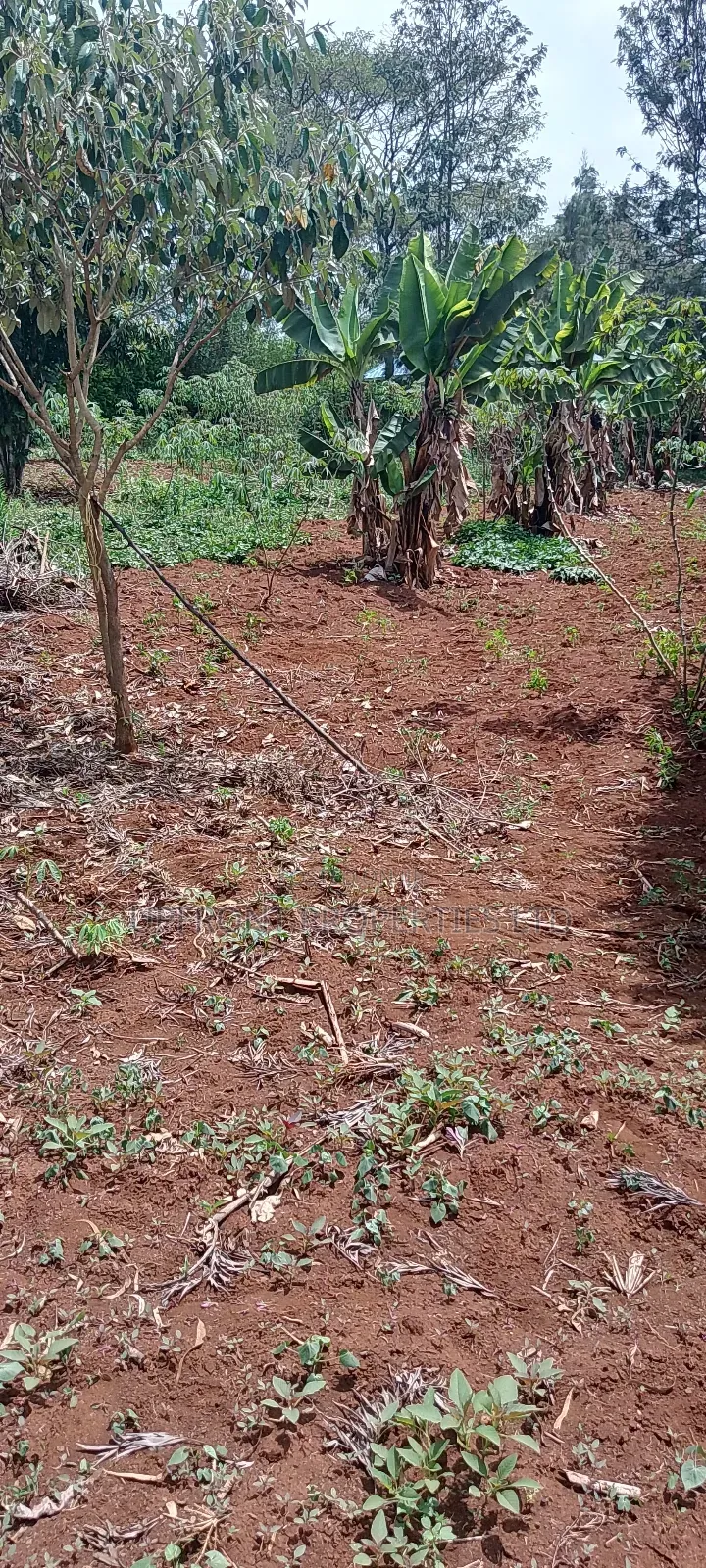 Prime Quarter-Acre Plot for Sale – Red Soil | Ngong Hills View
