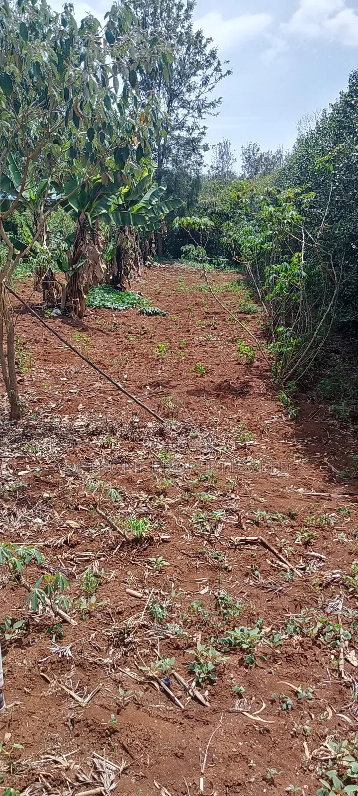Prime Quarter-Acre Plot for Sale – Red Soil | Ngong Hills View