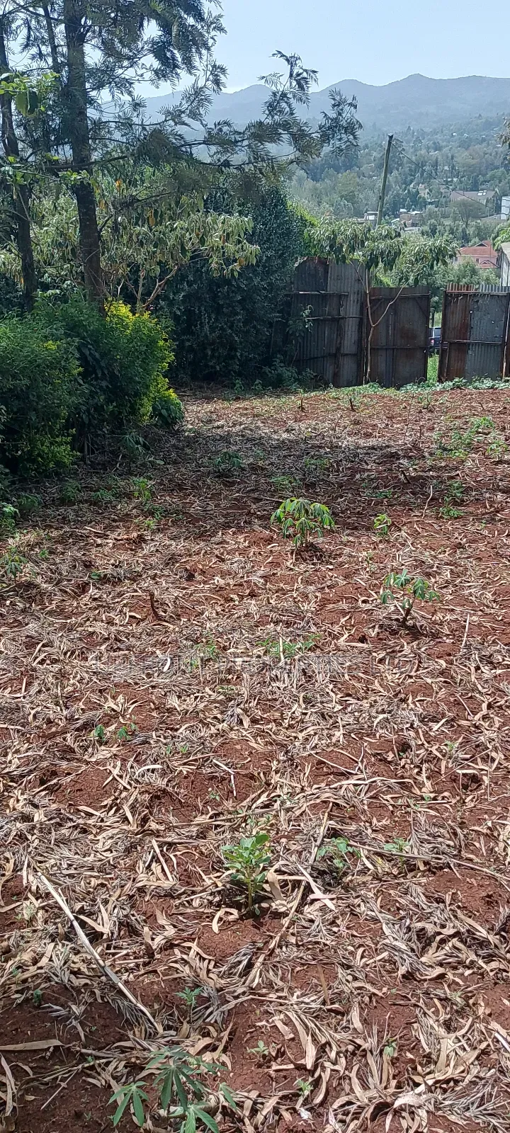 Prime Quarter-Acre Plot for Sale – Red Soil | Ngong Hills View