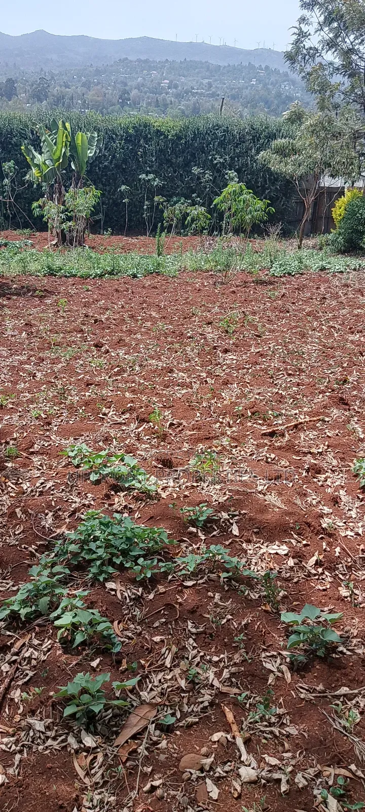 Prime Quarter-Acre Plot for Sale – Red Soil | Ngong Hills View