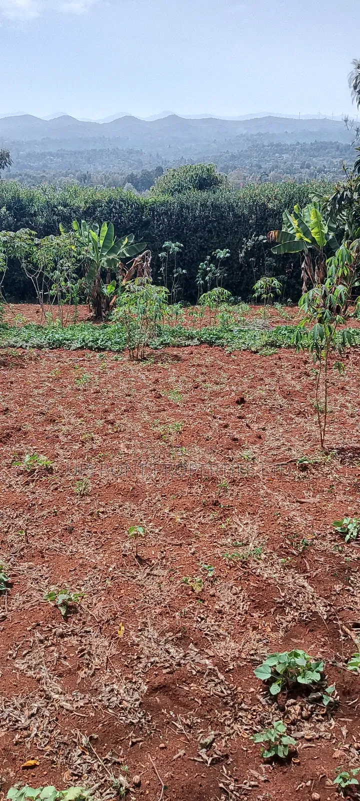 Prime Quarter-Acre Plot for Sale – Red Soil | Ngong Hills View