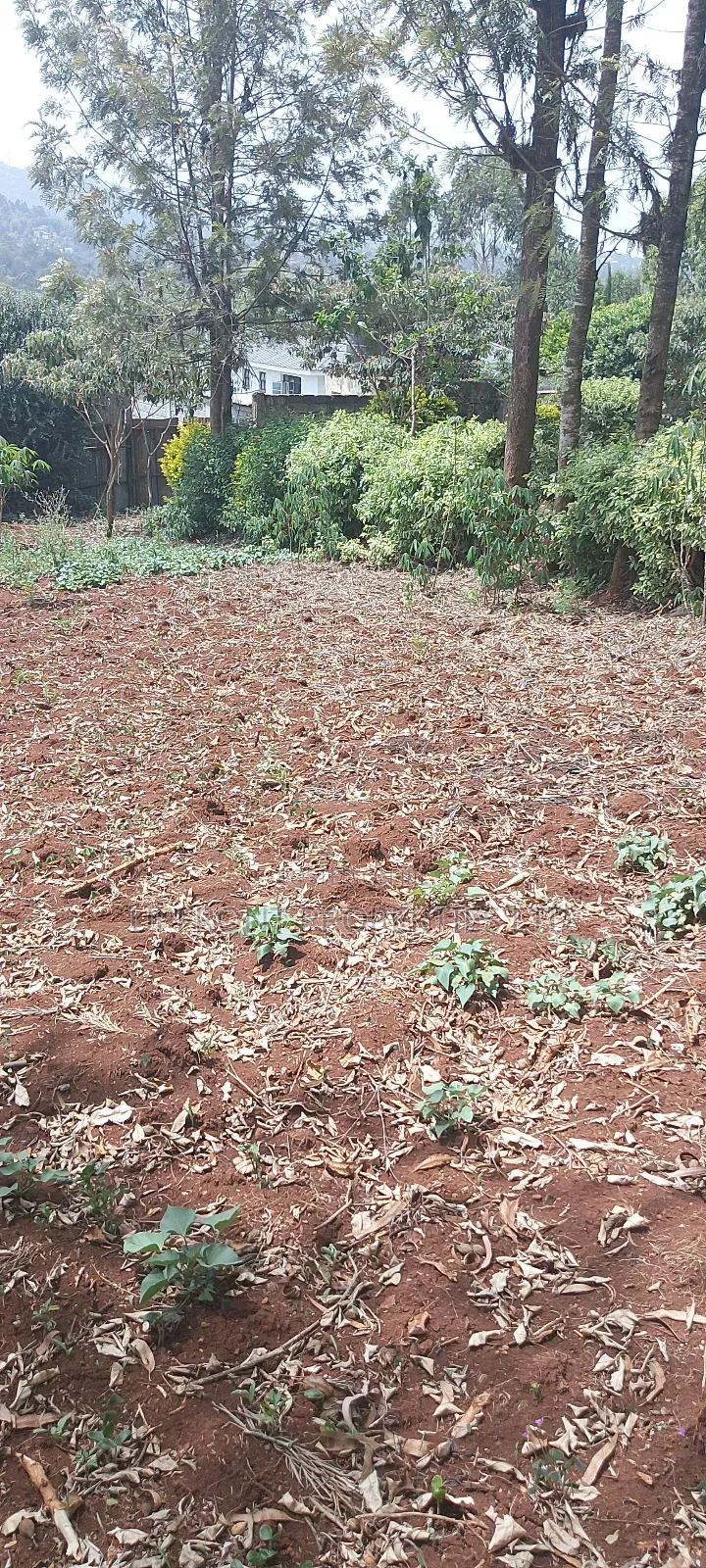 Prime Quarter-Acre Plot for Sale – Red Soil | Ngong Hills View