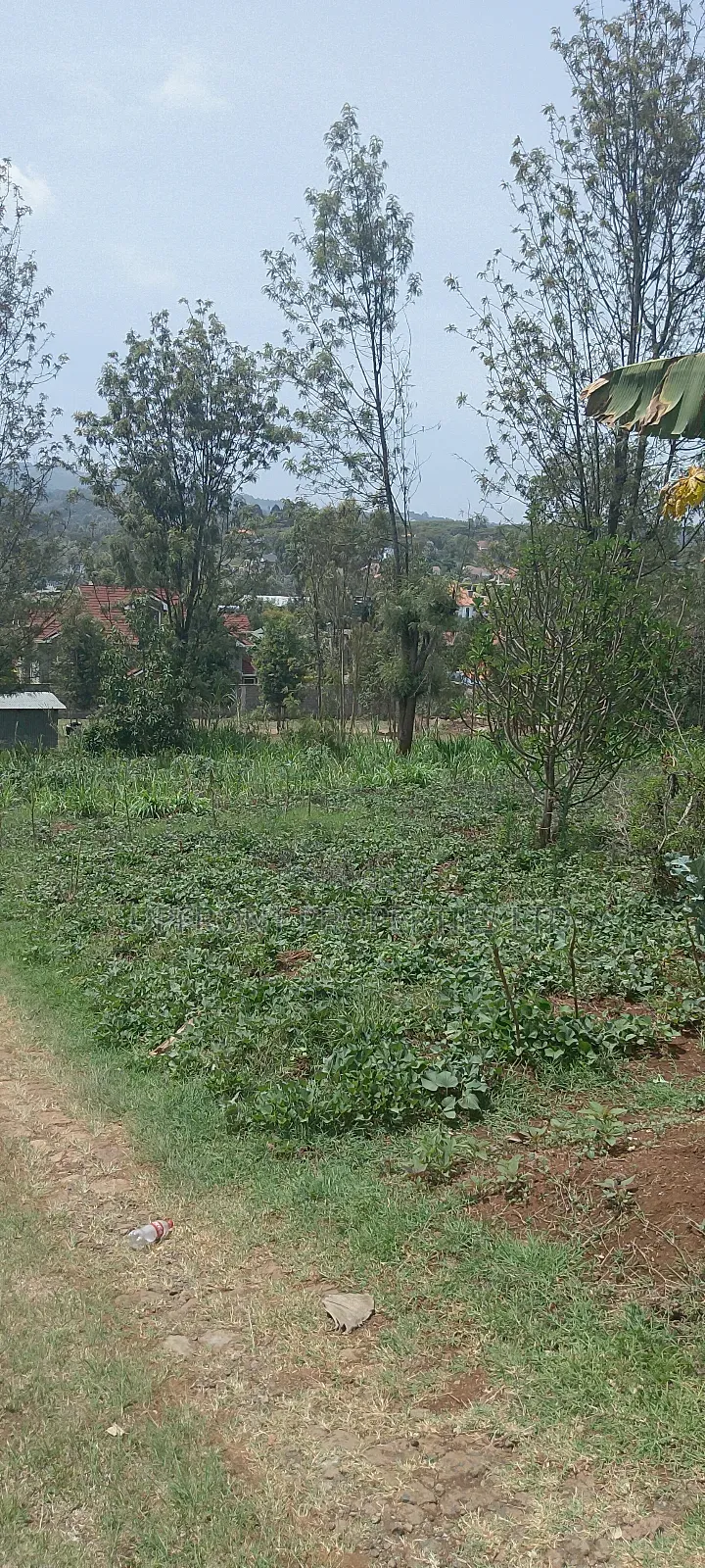 Prime Quarter-Acre Plot for Sale – Red Soil | Ngong Hills View