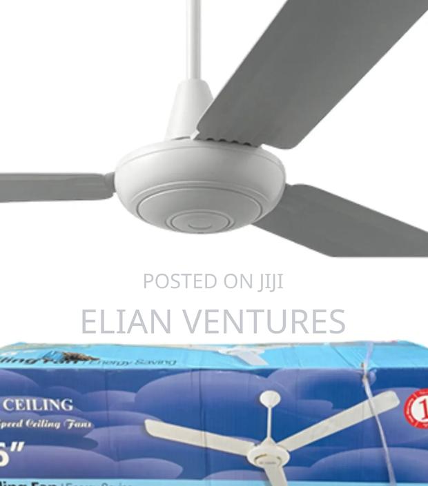 Original Ceiling Fan - main view
