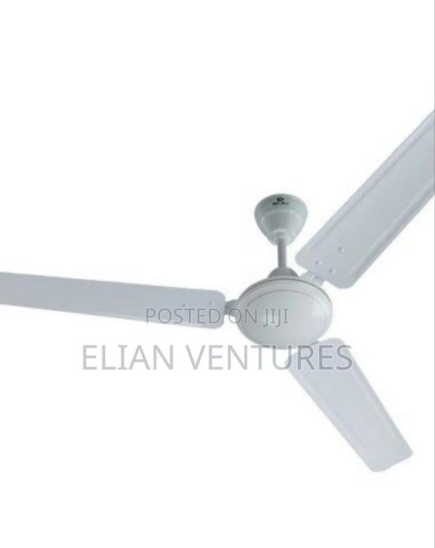 Top Brand Ceiling Fan