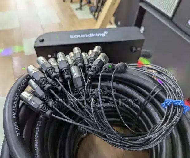 Soundking Ah 106/30 Snake Cable in Kenya