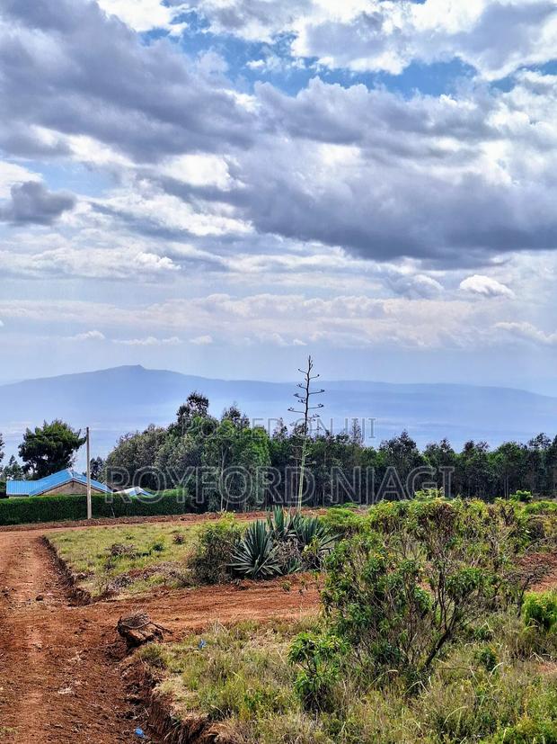 Property Land - thumbnail 3