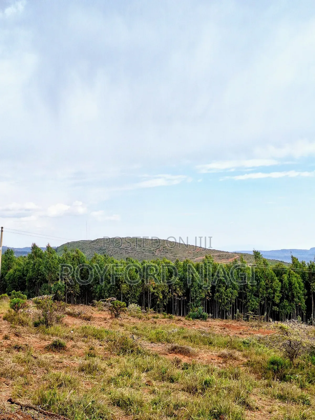 Property Land