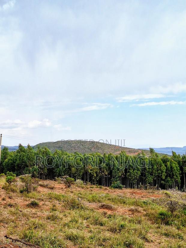 Property Land - thumbnail 4