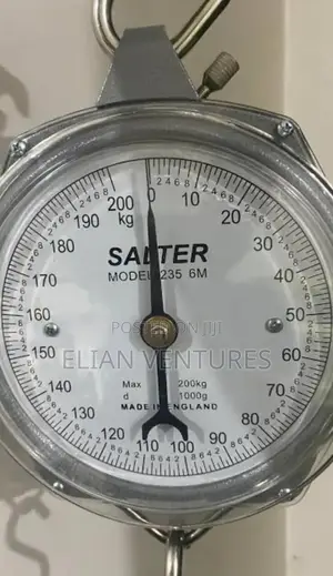 New Salter Big Size Hanging Scale