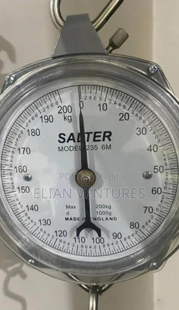 New Salter Big Size Hanging Scale