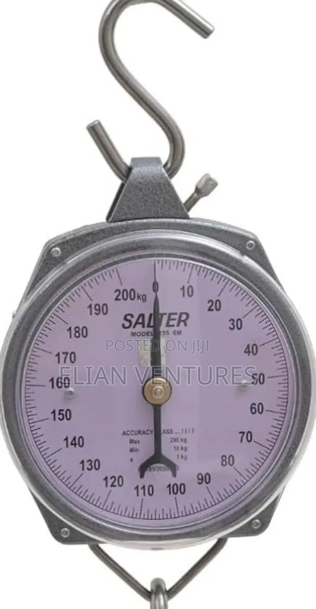 New Arrival Salter Big Size Manual Hanging Scale