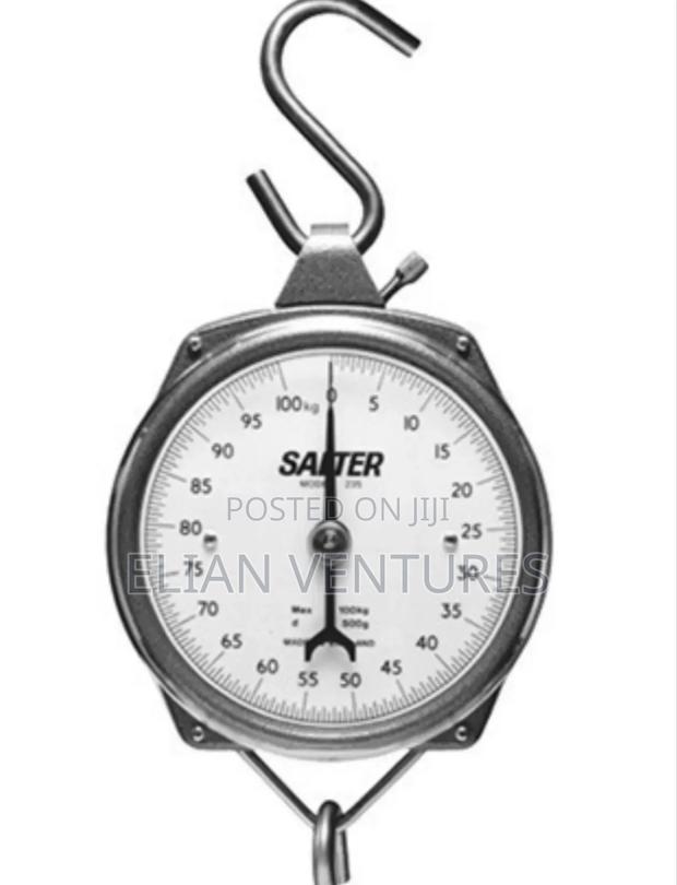 New Brand Salter Small Size Manual Hanging Scale