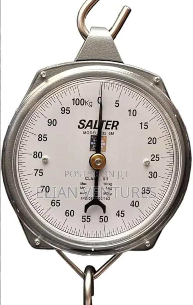 Newly Arrived Salter Small Size Manual Hanging Scale