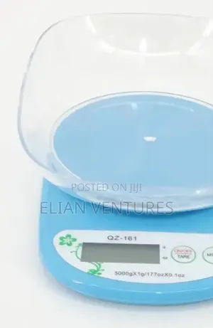 New Arrival Kitchen Scale With Bowl