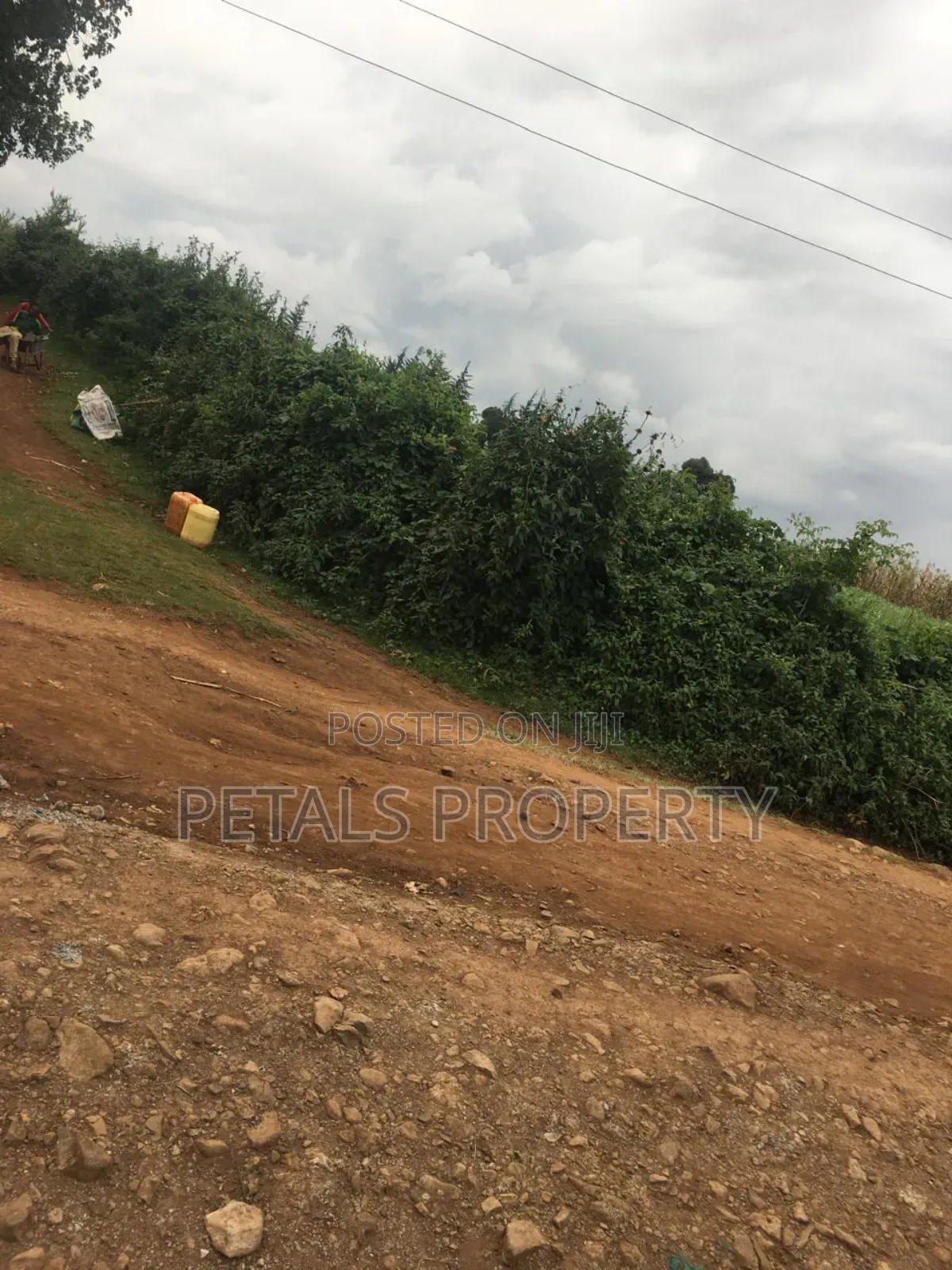 7 Acres for Sale in Molo