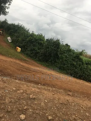 7 Acres for Sale in Molo