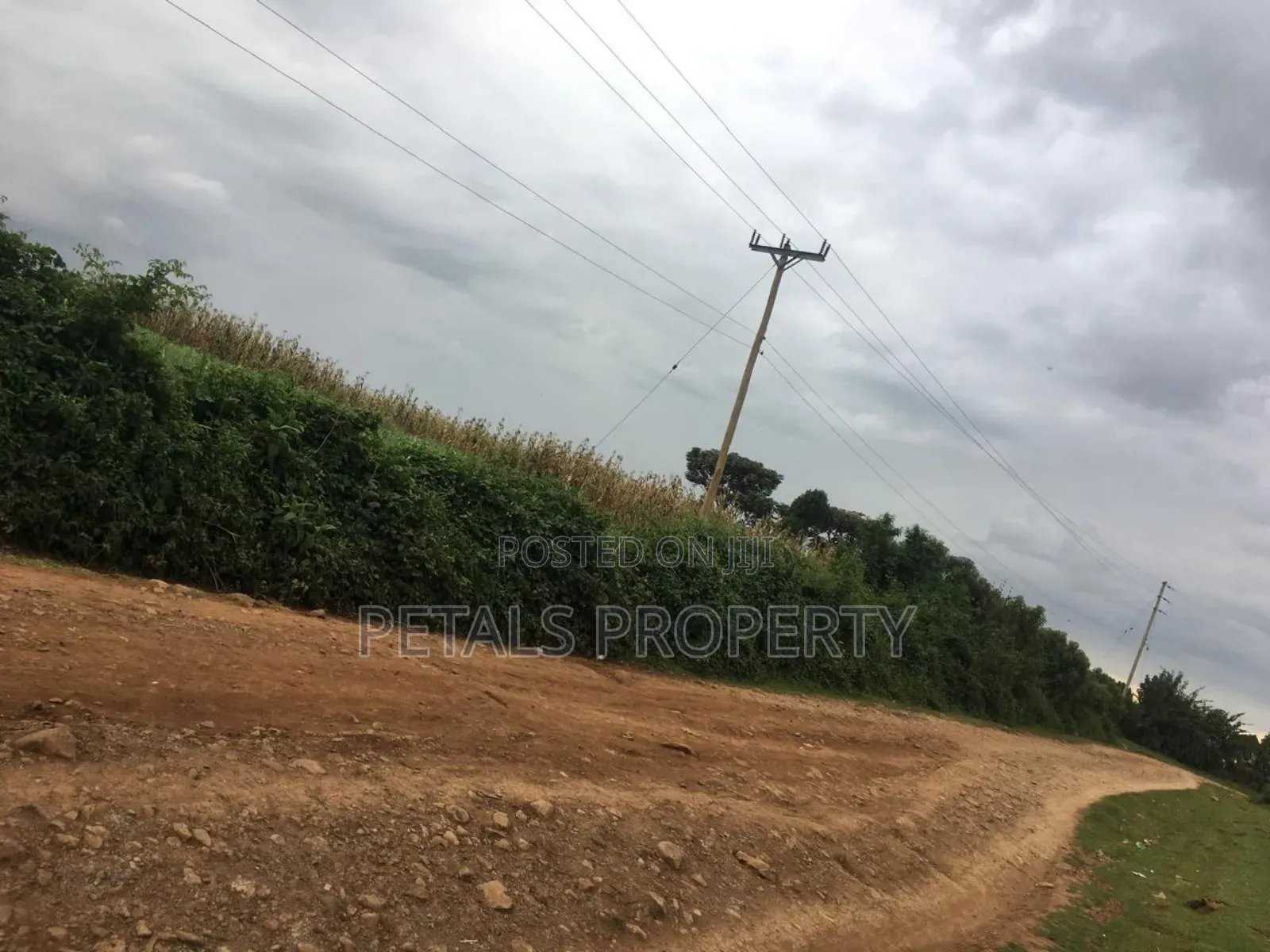 7 Acres for Sale in Molo