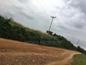 7 Acres for Sale in Molo