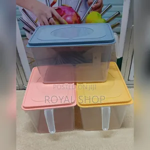 Fridge Container