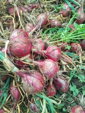 Freshly Cut Onions at Farmgate Prices - thumbnail 2