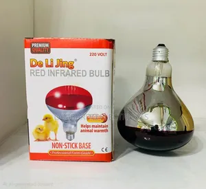 De Li Jing Red Infrared Chicken Bulb