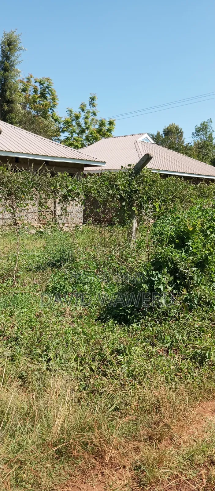 Maragwa Avery Prime 100 by 100 Plot With House's for Sale