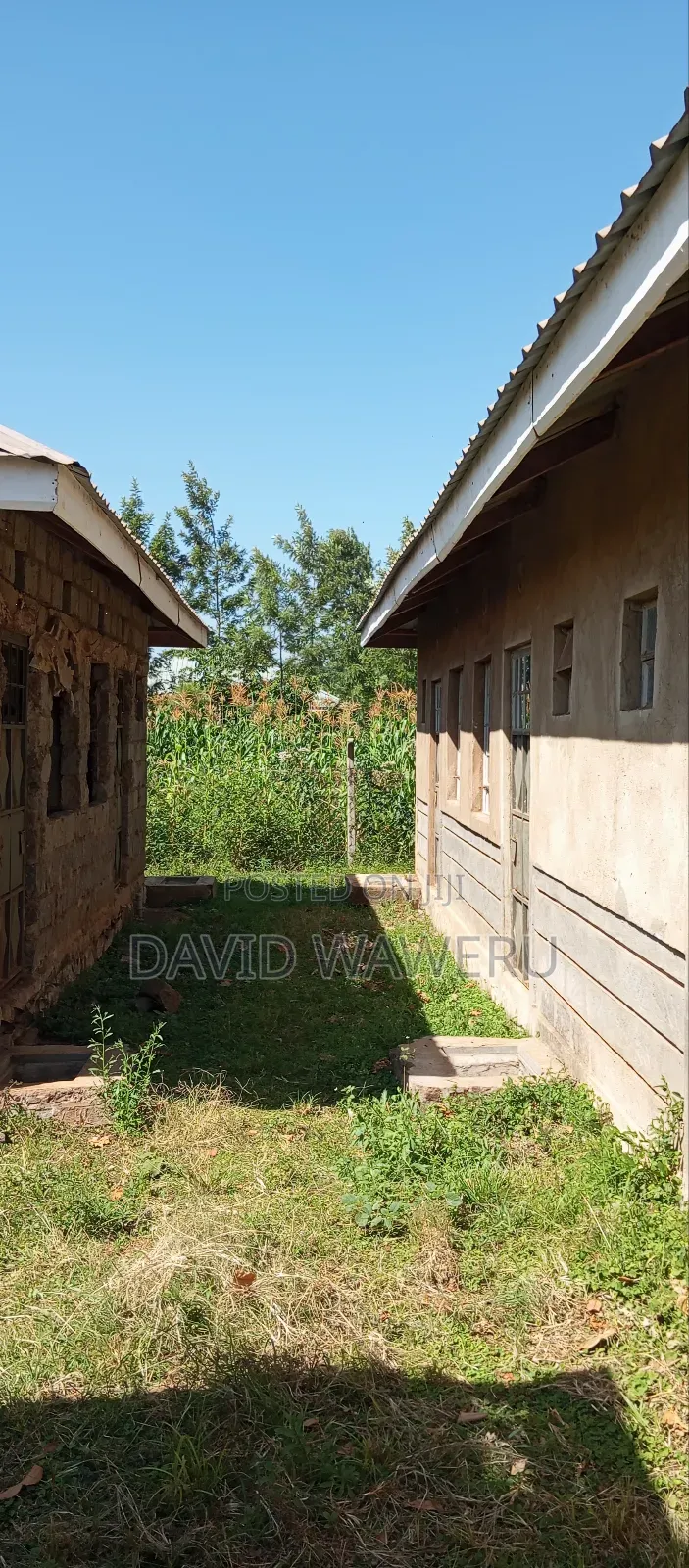 Maragwa Avery Prime 100 by 100 Plot With House's for Sale