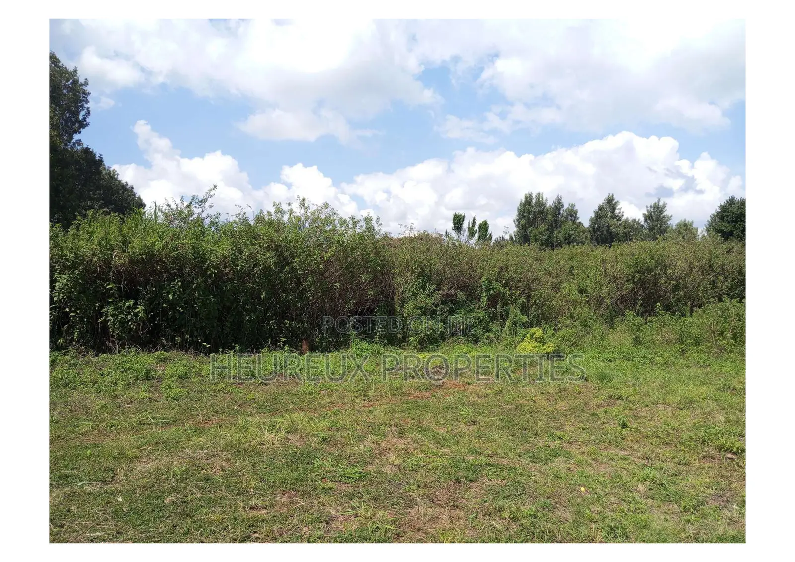 50x100 Plots for Sale Sacred Hearts Muchatha.
