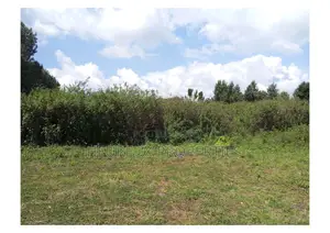 50x100 Plots for Sale Sacred Hearts Muchatha.