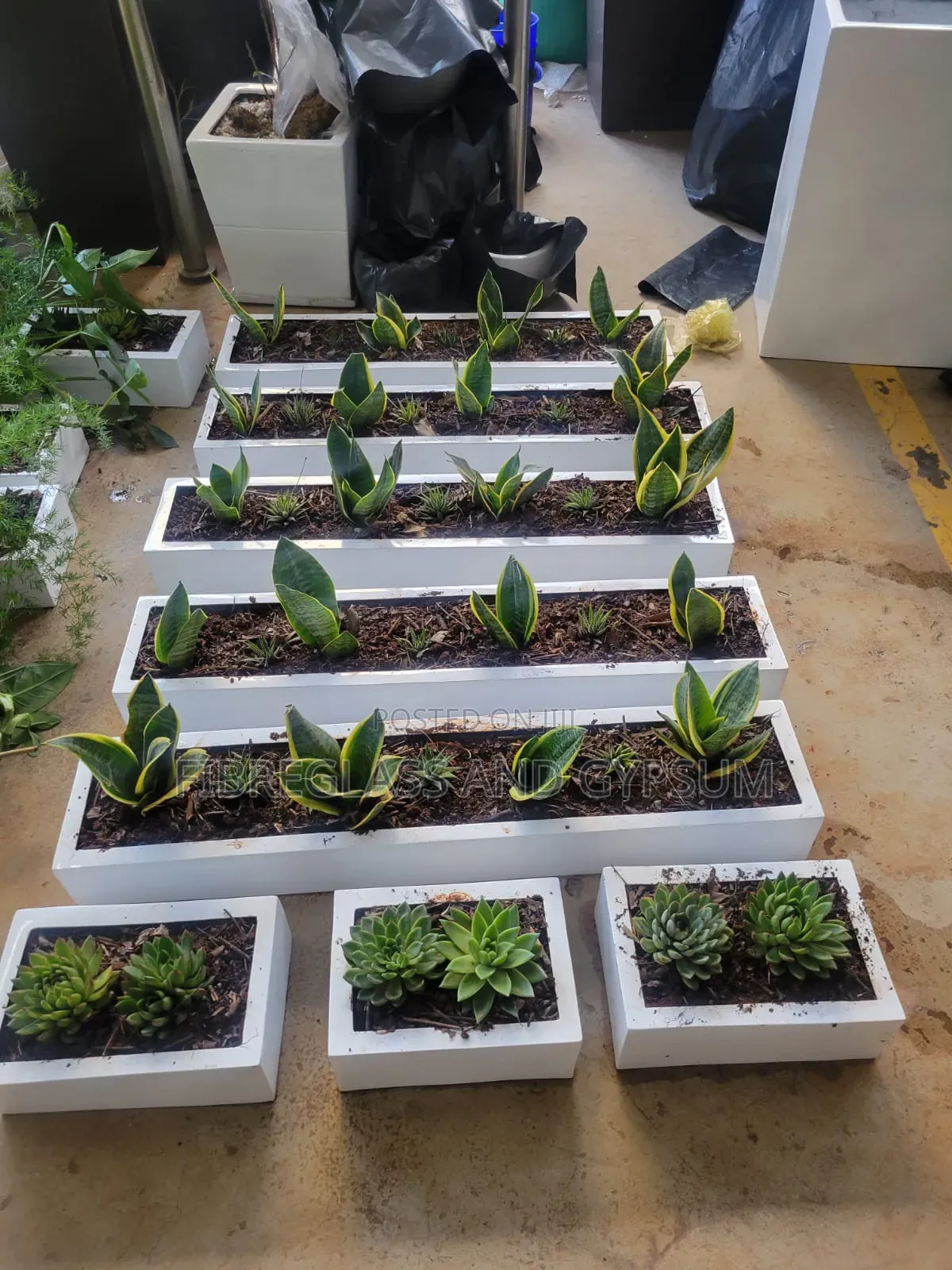 Fibreglass Planters
