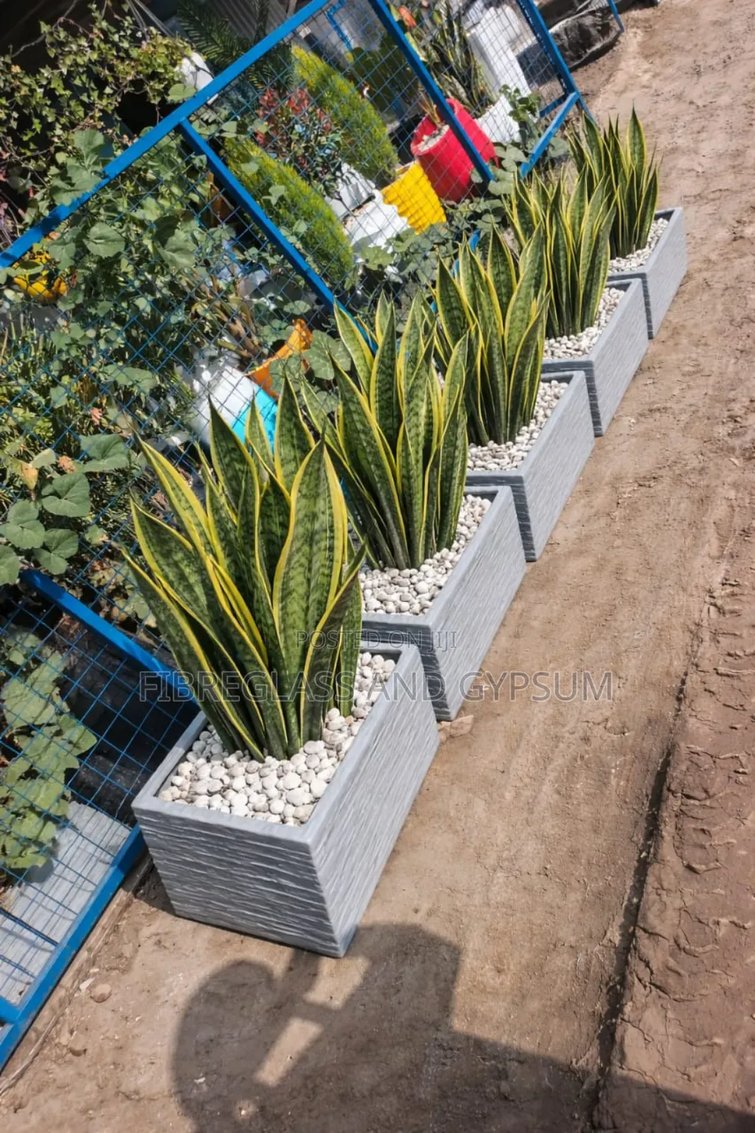 Fibreglass Planters
