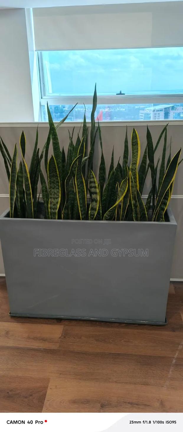 Fibreglass Planters - thumbnail 2